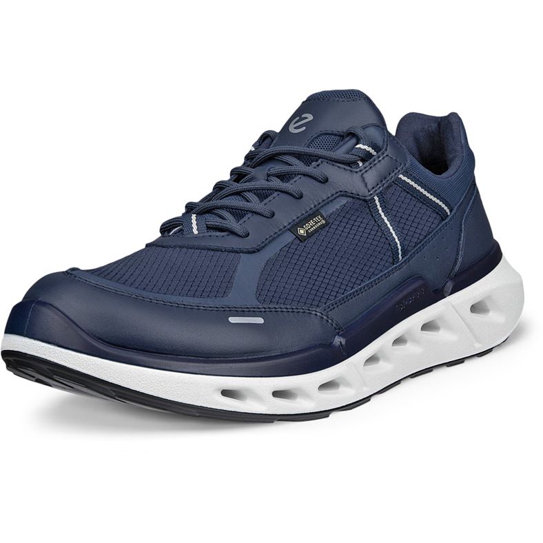 ECCO BIOM 720 M (Blue)