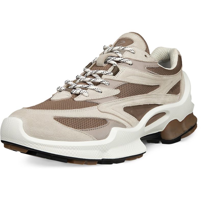 ECCO BIOM C2-TRAIL M (Grey)