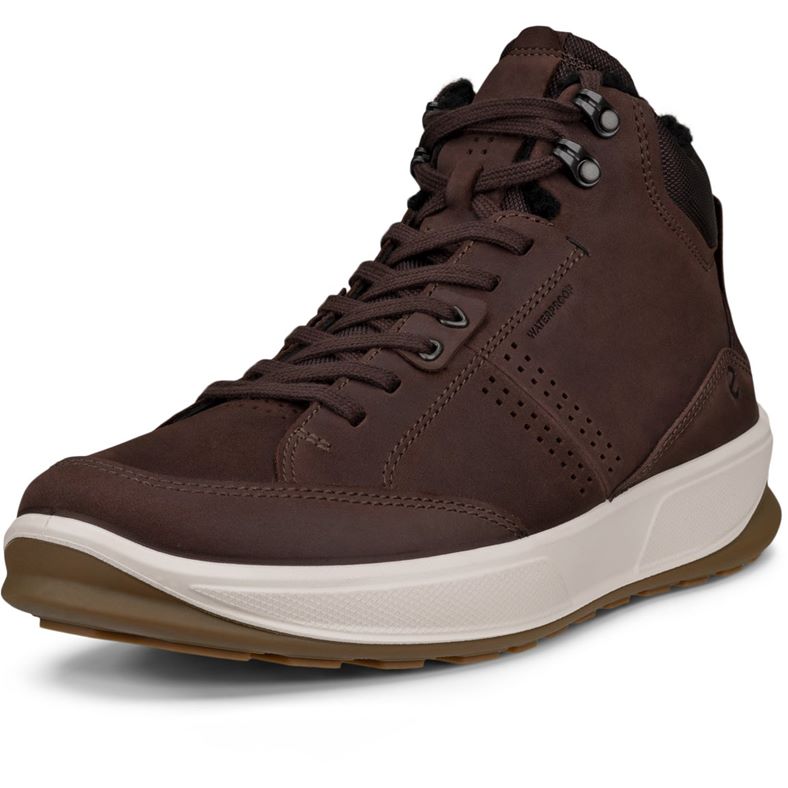 ECCO BYWAY 2.0 (Brown)