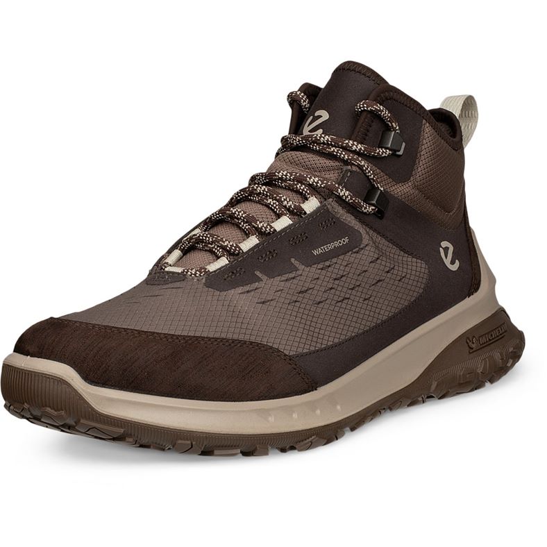 ECCO ULT-TRN M (Brown)
