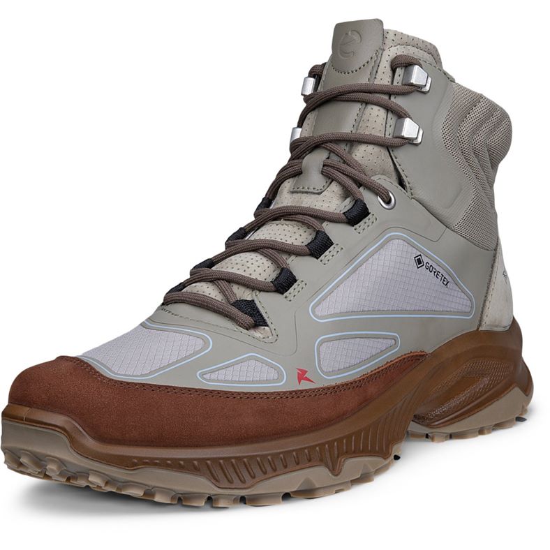 ECCO RECEPTOR XP M (Green)