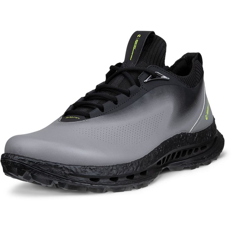 ECCO M GOLF BIOM C5 (Grey)