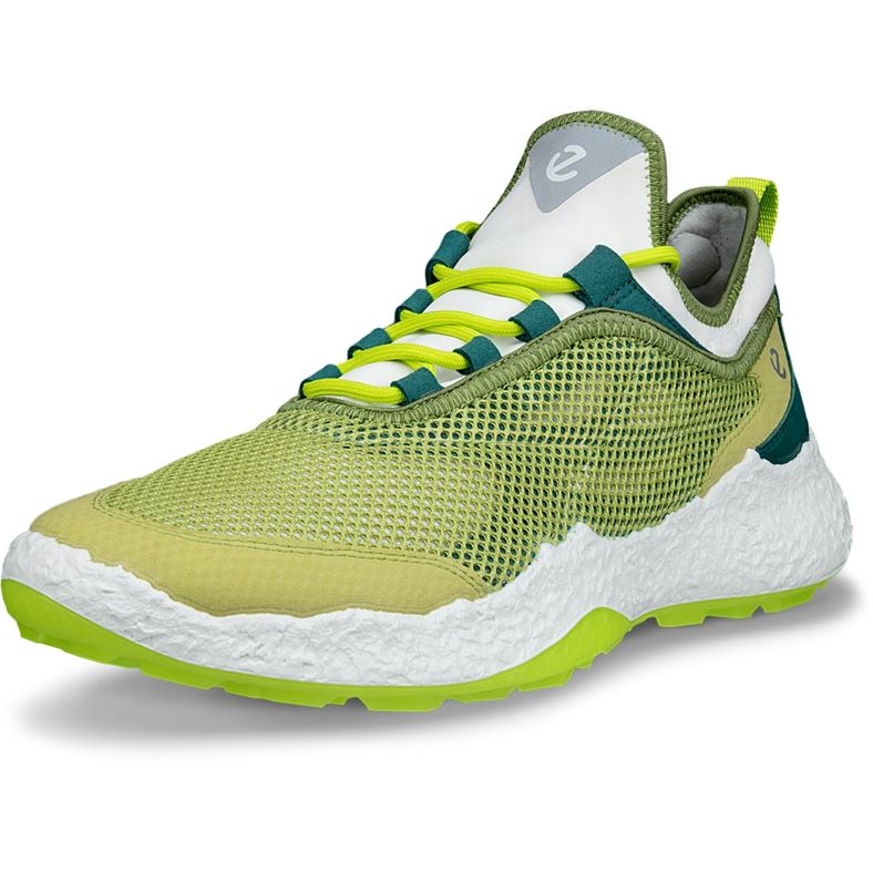 ECCO M GOLF BIOM H5 (Green)