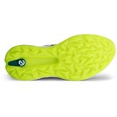 ECCO M GOLF BIOM H5 (Green)