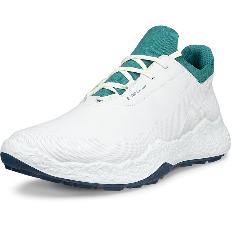 ECCO M GOLF BIOM H5